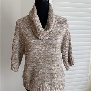 Sparkly Cowl Neck Sweater